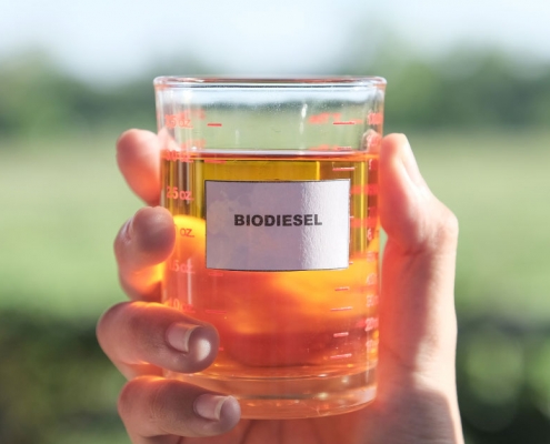 Vegetable oil promises a sustainable alternative to diesel