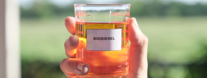 Vegetable oil promises a sustainable alternative to diesel